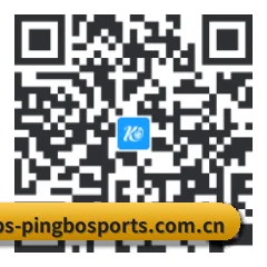Android 系统版 二维码